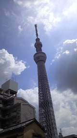 e64a528e.jpg