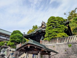 PXL_20251102_023742904~2