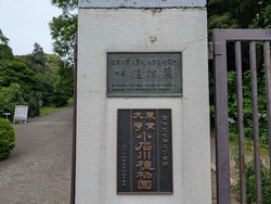 PXL_20250624_063720177