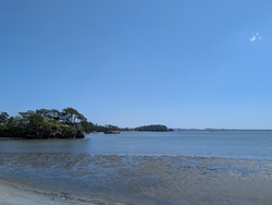PXL_20260502_013812202