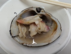 PXL_20250912_092912569