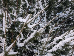 PXL_20260112_012726016