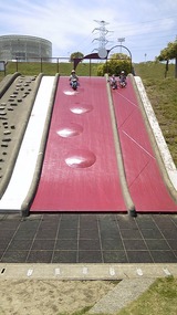 f143a089.jpg