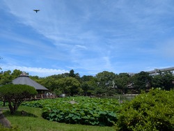 MP