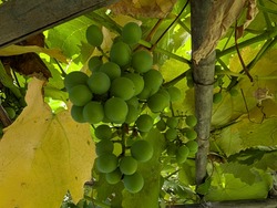 PXL_20250813_223627661