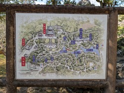 PXL_20250302_045638687