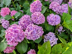 PXL_20250621_062043769~2