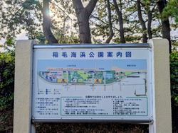 PXL_20251003_223638310~2