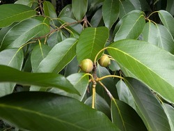 PXL_20250926_231335728