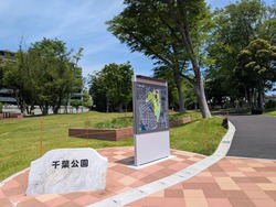 PXL_20260601_015106909