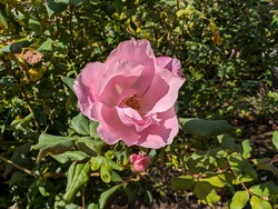 PXL_20261004_024927072