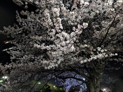 PXL_20260405_102052590
