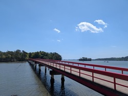 PXL_20260502_022944061