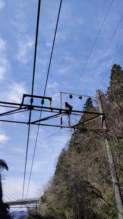 DSC_4914~2
