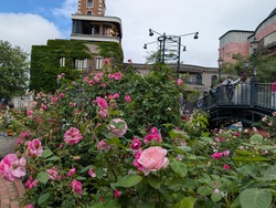 PXL_20260629_040528956