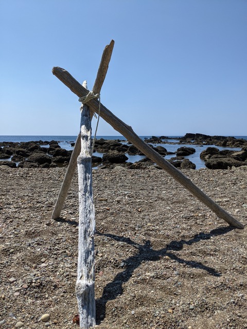 PXL_20210717_045740476
