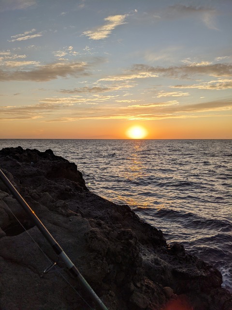 PXL_20211002_082502148