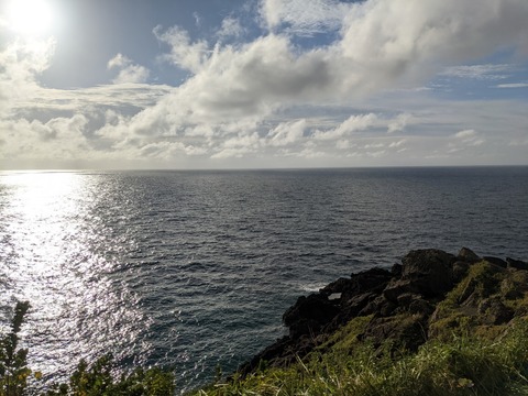 PXL_20211002_070130039