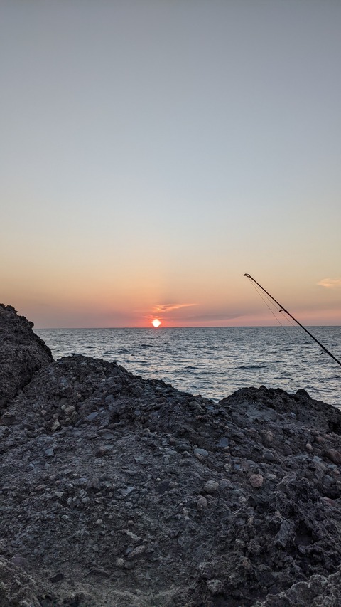 PXL_20211120_073628827