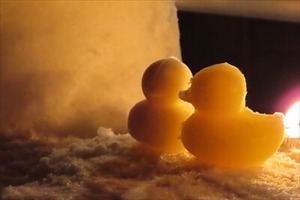 前田森林公園 (4)