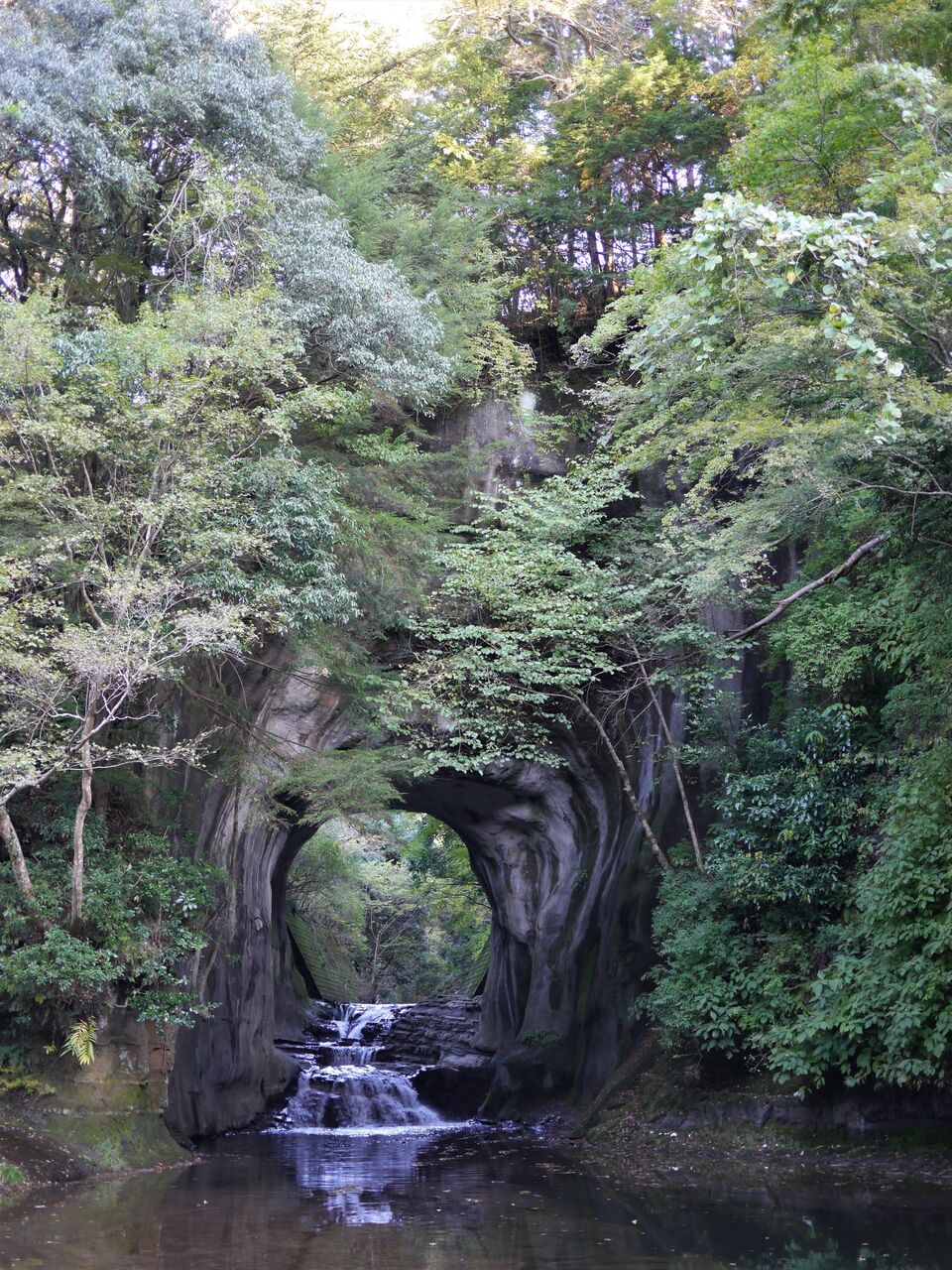 どこへ行こうか                公園児