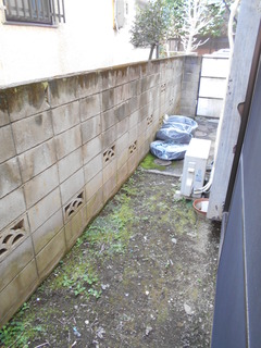 DSCN8639