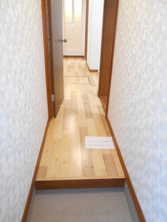 DSCN9003