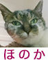 b434b46f-s