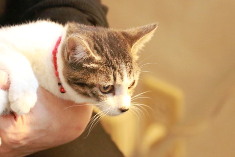 2013-11-27 048-