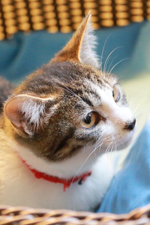 2013-11-27 064-