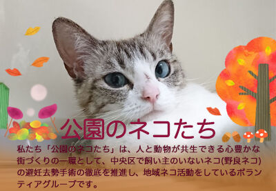 公園のネコたち