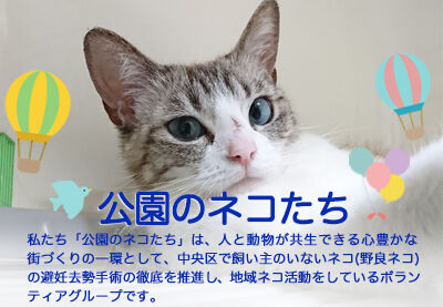 シロさん : 公園のネコたち