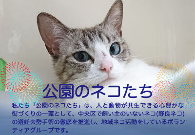 ネコたち Www Gigascope Net ネコたち Www Gigascope Net