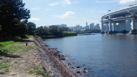 お台場海浜公園50