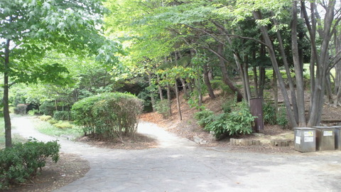 青海中央ふ頭公園3