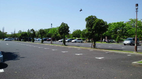 NEC_0030