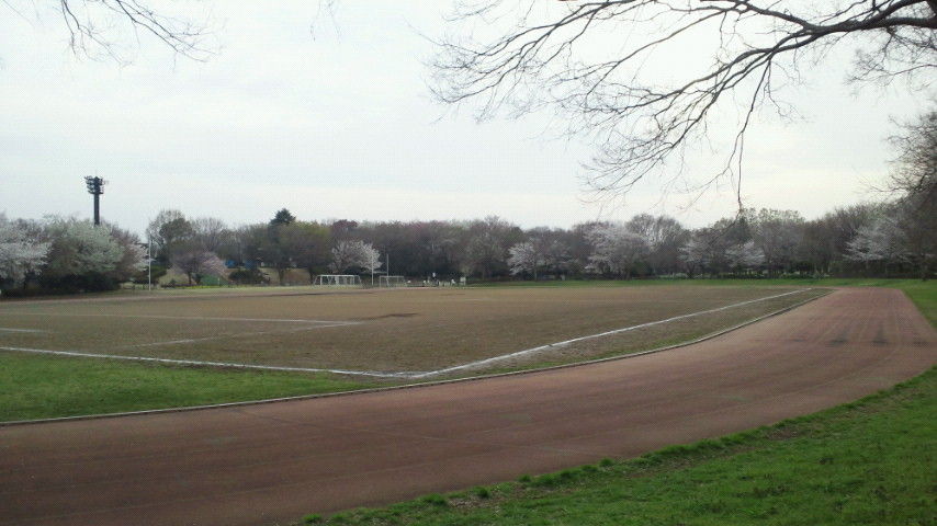 大泉中央公園を探索 駐車場 陽だまり広場 アスレチック広場 公園たんさく隊 大泉中央公園を探索 駐車場 陽だまり広場 アスレチック広場 公園たんさく隊