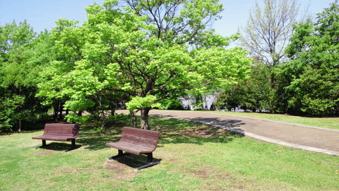 NEC_0045