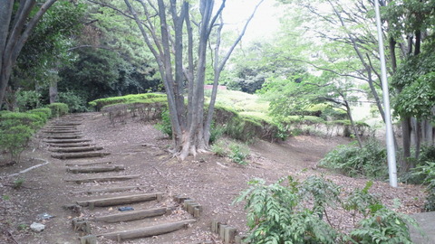 青海中央ふ頭公園4