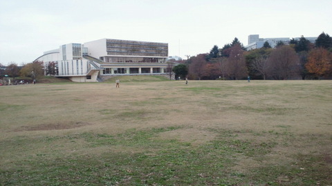 和光樹林公園11