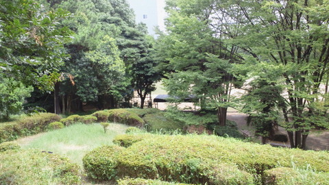 青海中央ふ頭公園7