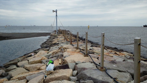 城南島海浜公園19