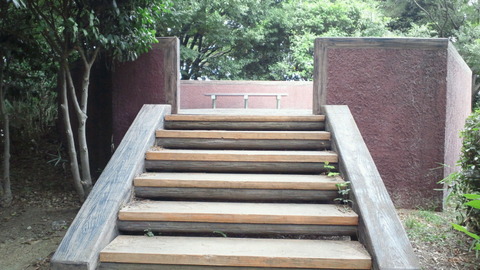 青海中央ふ頭公園5