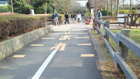 若洲海浜公園サイクリングコース4