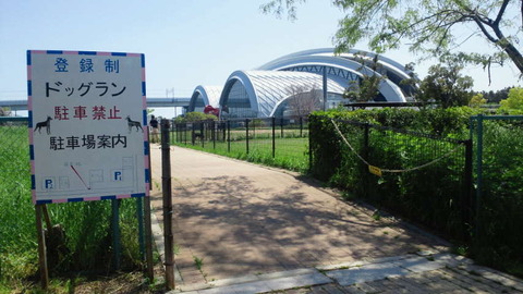 NEC_0063