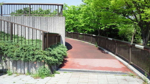 NEC_0038