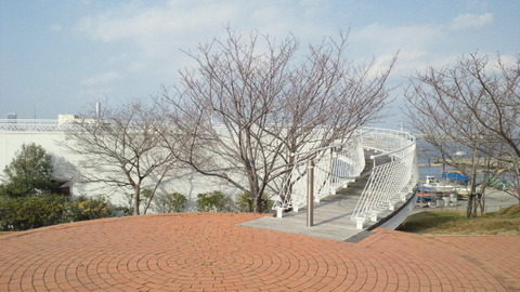 若洲海浜公園サイクリングコース29