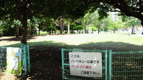 NEC_0036