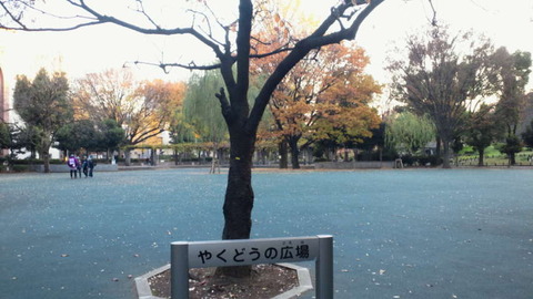 NEC_0074