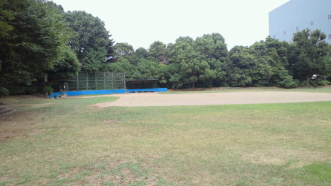 青海中央ふ頭公園9